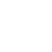 client icon