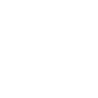 money icon