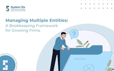 Managing Multiple Entities: A Bookkeeping Framework for Growing Firms